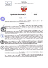 Vista preliminar de documento Resolucion Directoral N° 000040-2025