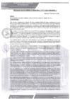 Vista preliminar de documento rgm-011