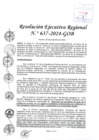Vista preliminar de documento RER 637-2024-GOB