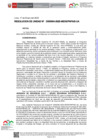 Vista preliminar de documento RU-0004-2025-MIDIS-PNPAIS-UA