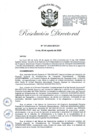 Vista preliminar de documento RD-2024-00157-999