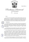 Vista preliminar de documento RD-2024-00196-999