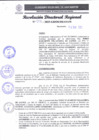 Vista preliminar de documento RDR 012-2025