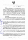 Vista preliminar de documento Resolucion 011