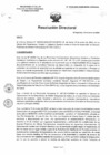 Vista preliminar de documento R.D. 0035-2025-DMID-DIRIS-LE-MINSA