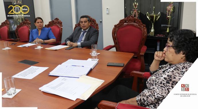 Importante reunión sostuvo la presidenta de la Corte Superior de Lima Sur con jueces y juezas del módulo integrado de violencia familiar