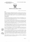 Vista preliminar de documento R.D. 0040-2025-DMID-DIRIS-LE-MINSA