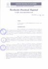 Vista preliminar de documento RDR 015-2025