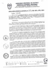 Vista preliminar de documento RGR002-2025-ARAU