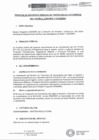 Vista preliminar de documento TDR-SERVICIO-TRADUCCION_07.02.2025_vf