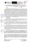 Vista preliminar de documento RER-363-2024-GOREMAD-GGR