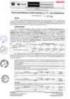 Vista preliminar de documento RER-372-2024-GOREMAD-GGR