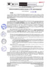 Vista preliminar de documento RER-386-2024-GOREMAD-GGR