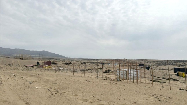 Recuperan 10 Hectáreas De Terrenos Del Pech En Chicama