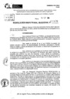 Vista preliminar de documento RDR 10470-2024