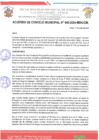 Vista preliminar de documento ACM 40