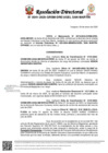 Vista preliminar de documento Resolución Directoral N° 0041-2025-GRSM-DRE-UGEL-SAN-MARTIN