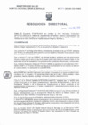 Vista preliminar de documento RD N° 004-2025-SA-DG-HNSEB (1)