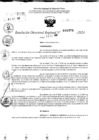 Vista preliminar de documento RDR 10474-2024