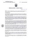 Vista preliminar de documento RD N° 009-2025-SA-DG-HNSEB (1)
