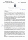 Vista preliminar de documento RD N° 010-2025-SA-DG-HNSEB