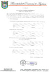 Vista preliminar de documento RESOLUCION DE ALCALDIA N°501-2020-MPA- A