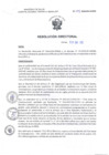 Vista preliminar de documento RD N° 008-2025-DG-HNSEB