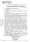 Vista preliminar de documento ACM24N294