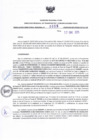 Vista preliminar de documento RDR N°055-2025-17-01-2025