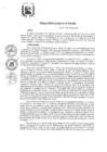 Vista preliminar de documento 167-2020-MDC-RA