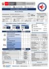 Vista preliminar de documento REPORTE GTGRD 20-01 TURNO DIA