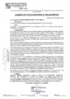 Vista preliminar de documento ACM24N298