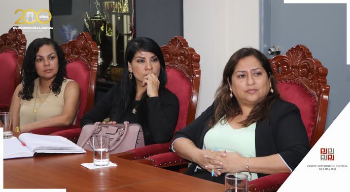 Innovaciones y Coordinación: Presidenta de la Corte de Lima Sur lidera Mesa de Trabajo con Jueces de Paz Letrado de Familia