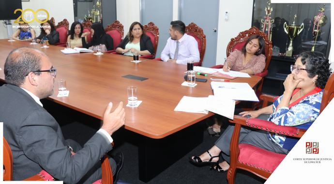 Innovaciones y Coordinación: Presidenta de la Corte de Lima Sur lidera Mesa de Trabajo con Jueces de Paz Letrado de Familia