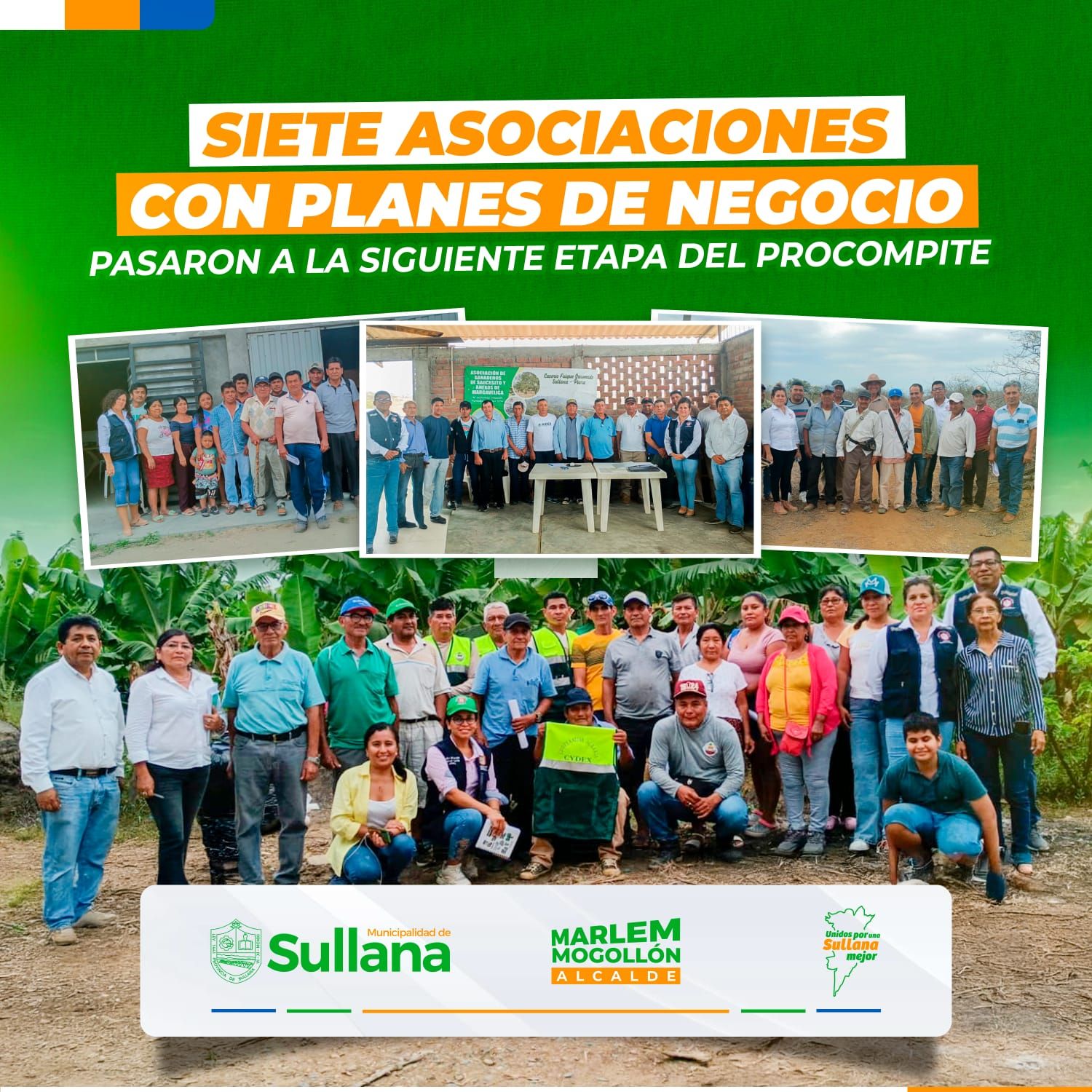 Siete asociaciones agropecuarias avanzan en Procompite 2024