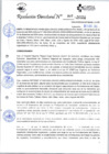 Vista preliminar de documento RD_397_2024_31-12-2024
