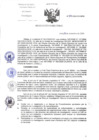 Vista preliminar de documento RD-370-2024-DG-INCN