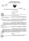 Vista preliminar de documento RDR 10488-2024