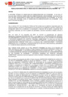 Vista preliminar de documento R.D. 033