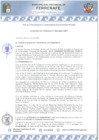 Vista preliminar de documento ACM-N°009-2025-cmpf
