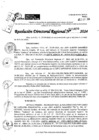 Vista preliminar de documento RDR 10490-2024
