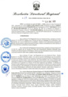 Vista preliminar de documento RDR-022-2025