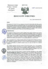 Vista preliminar de documento RD-375-2024-DG-INCN