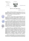 Vista preliminar de documento RD-009-2025-DG-INCN