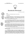 Vista preliminar de documento RD N°011-2025-HNCH-DG