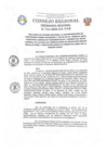 Vista preliminar de documento Ordenanza Regional N° 516-2024-GRP CR