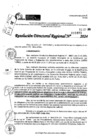 Vista preliminar de documento RDR 10493-2024