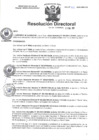 Vista preliminar de documento R.D. N° 013-2025-HMA-DG