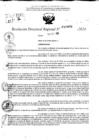 Vista preliminar de documento RDR 10495-2024