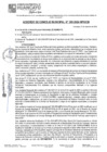 Vista preliminar de documento ACM24N305